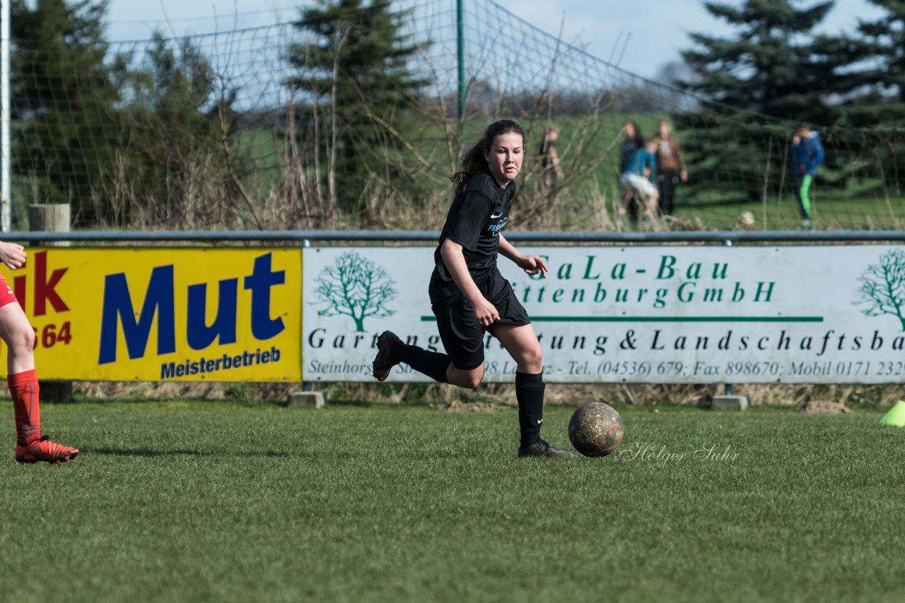 Bild 205 - C-Juniorinnen SV Steinhorst/Labenz - TSV Friedrichsberg-Busdorf : Ergebnis: 5:0